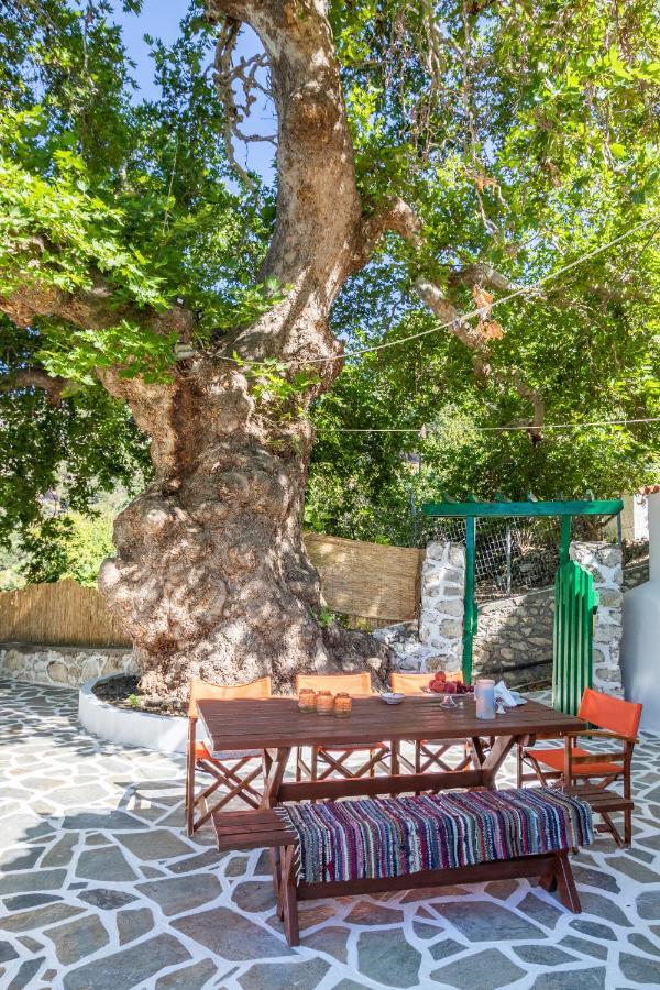 Mertonas Villa 키라파나기아 외부 사진